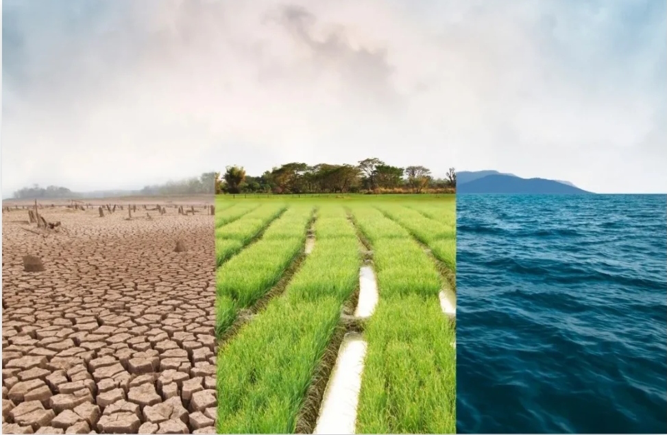 İklim değişikliği gerçekler